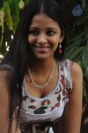 Sollithara Naaniruken Tamil Movie Launch - 12 of 73