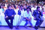 Son of Satyamurthy Audio Launch 04 - 104 of 107