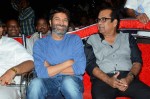 Son of Satyamurthy Audio Success Meet 02 - 38 of 74