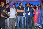 Son of Satyamurthy Success Meet 01 - 52 of 84