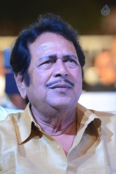 Soukhyam Audio Launch 2 - 34 of 77