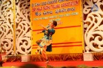 Sri Kala Sudha Ugadi Puraskaram Awards Photos - 199 of 330