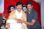 Sri Manikanta Mahimalu Audio Launch - 30 of 86