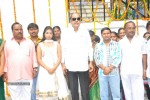 Sri Naranadri Creations Movie Opening - 4 of 34