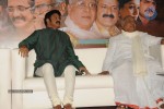 Sri Rama Rajyam Movie 100days Function - 87 of 95