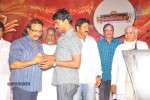 Sri Rama Rajyam Movie Audio Success Meet  - 27 of 102