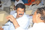 Sri Rama Rajyam Movie Audio Success Meet  - 85 of 102