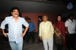 Celebs at Sri Rama Rajyam Movie Premiere Show - 23 of 32