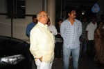 Celebs at Sri Rama Rajyam Movie Premiere Show - 31 of 32