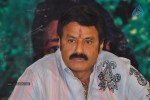 Sri Rama Rajyam Movie Success Meet - 46 of 62