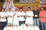 Sri Sai Gananjali Album Launch - 11 of 40