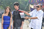 Sri Satya Vidhura Movies Opening - 54 of 89