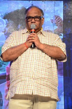 Sri Valli Audio Launch 3 - 7 of 70