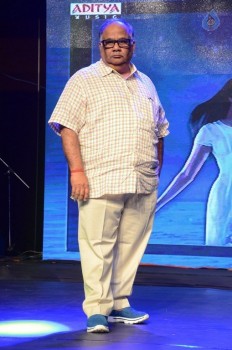 Sri Valli Audio Launch 3 - 49 of 70