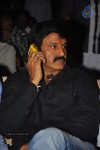 Srimannarayana Audio Launch 03 - 86 of 140