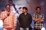 Srimannarayana Audio Launch 03 - 91 of 140