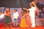 Srimannarayana Audio Launch 05 - 6 of 127