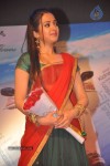 Srimannarayana Audio Launch 05 - 11 of 127