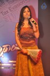 Srimannarayana Audio Launch 05 - 12 of 127