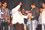 Srimannarayana Audio Launch 05 - 57 of 127
