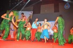 Srimannarayana Audio Launch 01 - 22 of 97