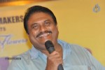 Srimannarayana Movie Success Meet Photos - 3 of 140