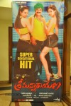 Srimannarayana Movie Success Meet Photos - 36 of 140