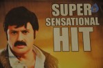 Srimannarayana Movie Success Meet Photos - 38 of 140