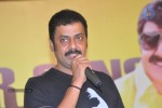 Srimannarayana Movie Success Meet Photos - 45 of 140