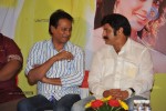 Srimannarayana Movie Success Meet Photos - 50 of 140