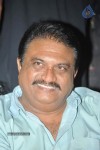 Srimannarayana Movie Success Meet Photos - 127 of 140