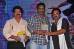 Srimannarayana Triple Platinum Disc Function 01 - 34 of 190