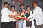 Srimannarayana Triple Platinum Disc Function 01 - 185 of 190