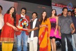 Srimannarayana Triple Platinum Disc Function 02 - 59 of 187