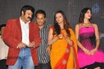 Srimannarayana Triple Platinum Disc Function 02 - 107 of 187