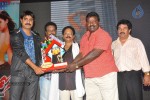 Srimannarayana Triple Platinum Disc Function 02 - 137 of 187