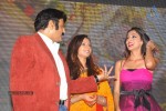 Srimannarayana Triple Platinum Disc Function 02 - 168 of 187