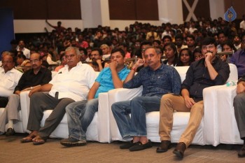 Srirastu Subhamastu Pre Release Function 2 - 33 of 42