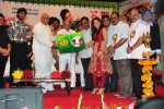 Subhapradam Movie Audio Launch - 16 of 107