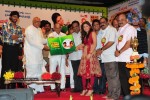 Subhapradam Movie Audio Launch - 105 of 107