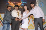 Superhit 2010 Cine Awards - 71 of 101