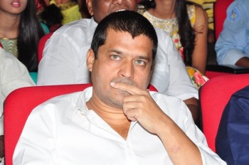 Supreme Audio Launch 1 - 17 of 84