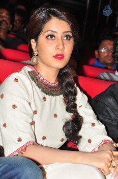 Supreme Audio Launch 2 - 52 of 53