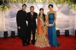Suraj Godambe Wedding Reception - 19 of 43