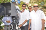 Suresh Productions Sunil Movie Opening - 6 of 84