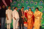 S.V. Krishna Reddy Daughter Marriage Reception 01 - 65 of 109