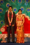 S.V. Krishna Reddy Daughter Marriage Reception 01 - 49 of 109