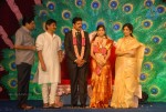 S.V. Krishna Reddy Daughter Marriage Reception 01 - 74 of 109