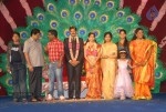 S.V. Krishna Reddy Daughter Marriage Reception 01 - 86 of 109