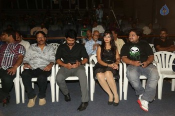 Swimming Pool Platinum Disc Function - 23 of 42